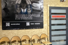 Silesia-Gorillas-baner-1