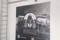 Silesia-Gorillas-baner-5